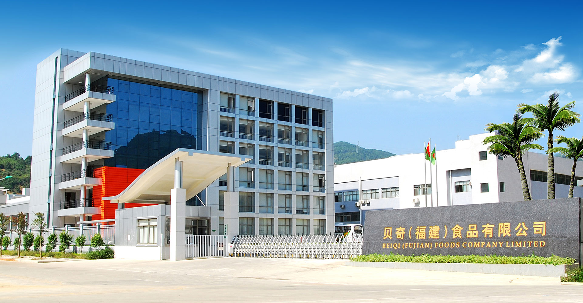 緻力于成爲中國綠色健康蔬菜食品領軍企業